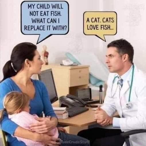 catsLoveFish