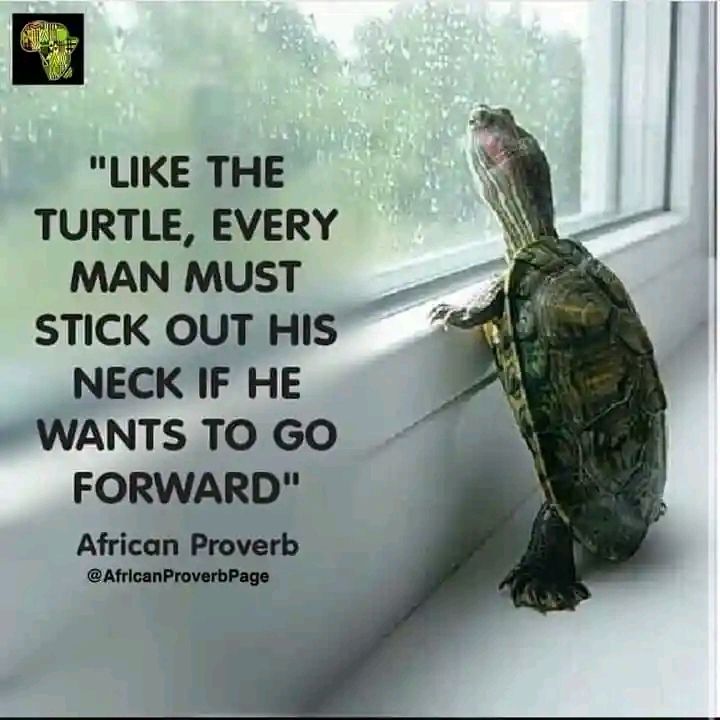 ضرب المثل آفریقایی