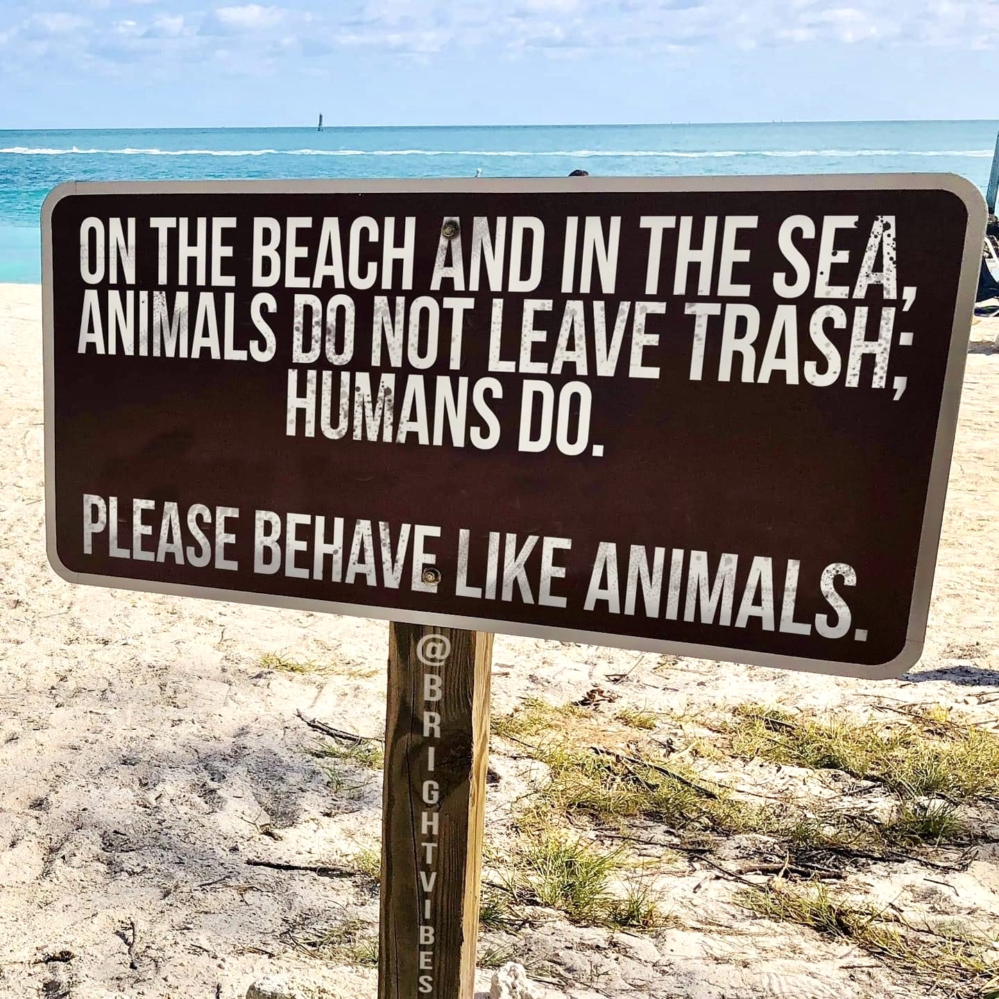 act like animals