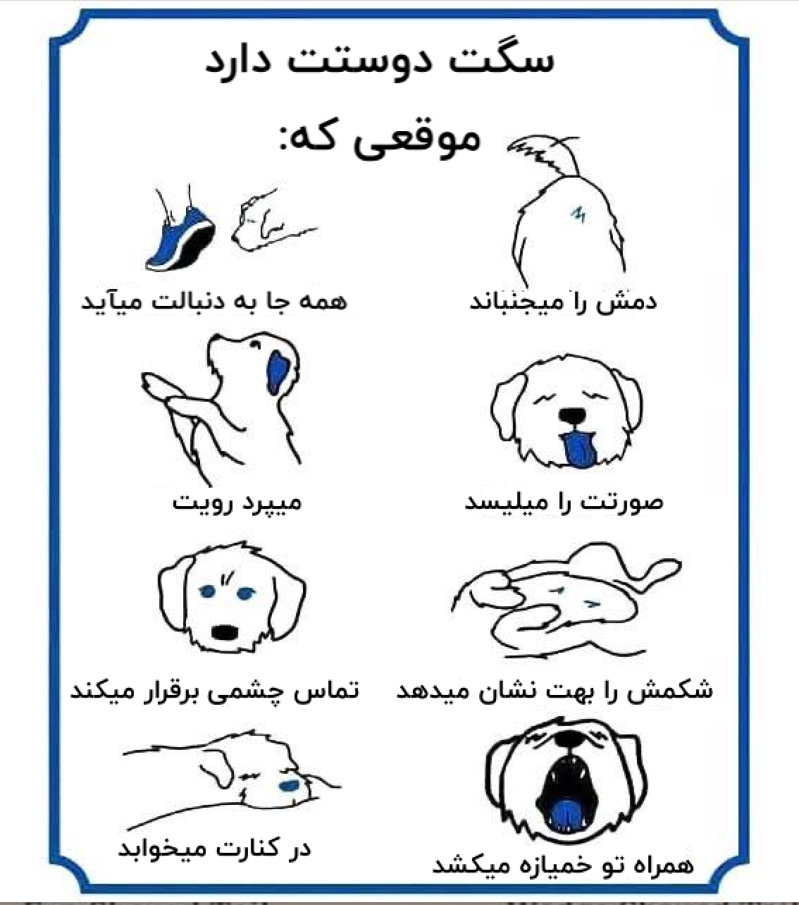 dogs gestures