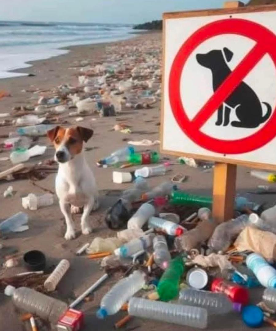 dog pollution