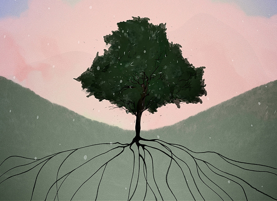 امین قیصرپور