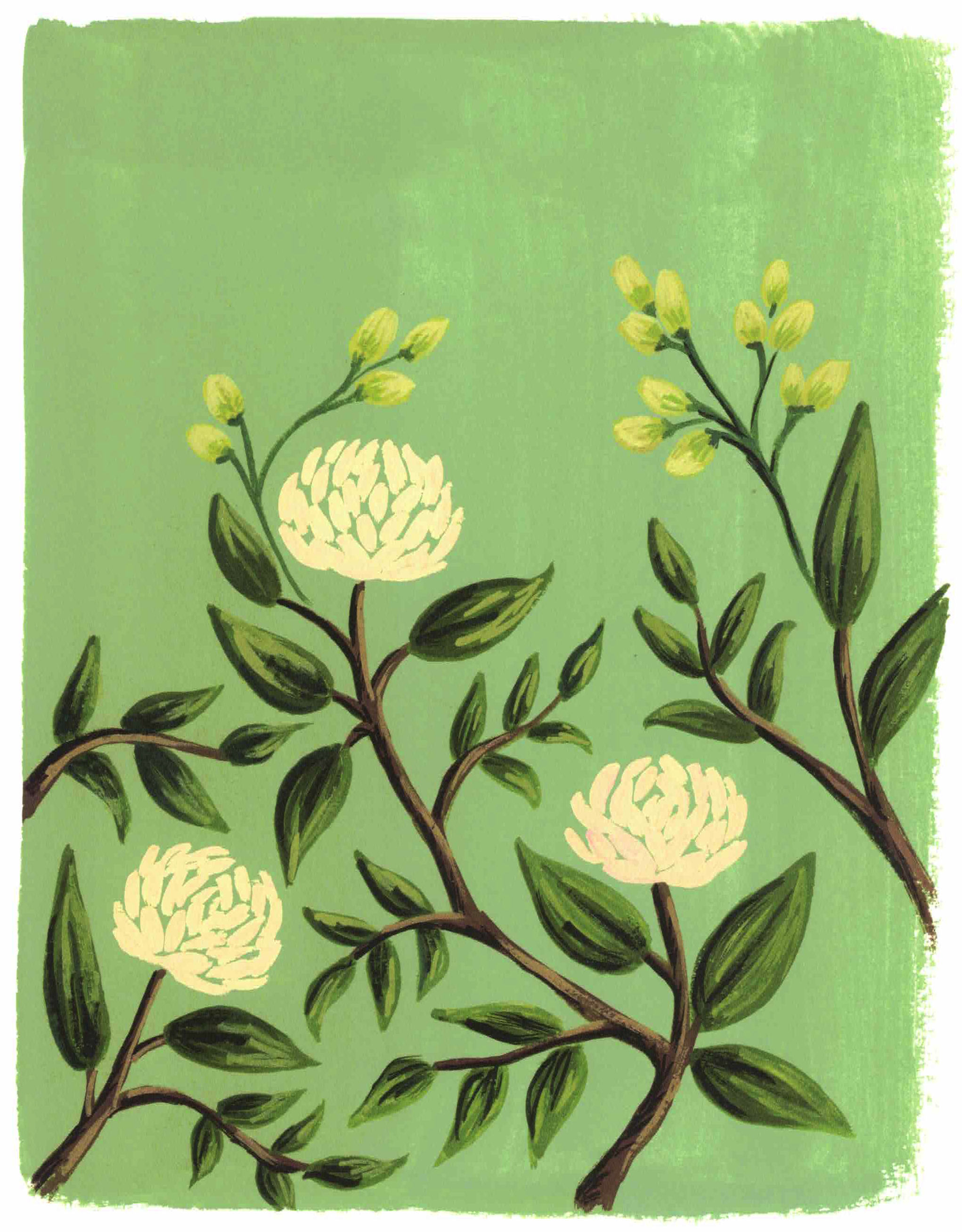 green leaves