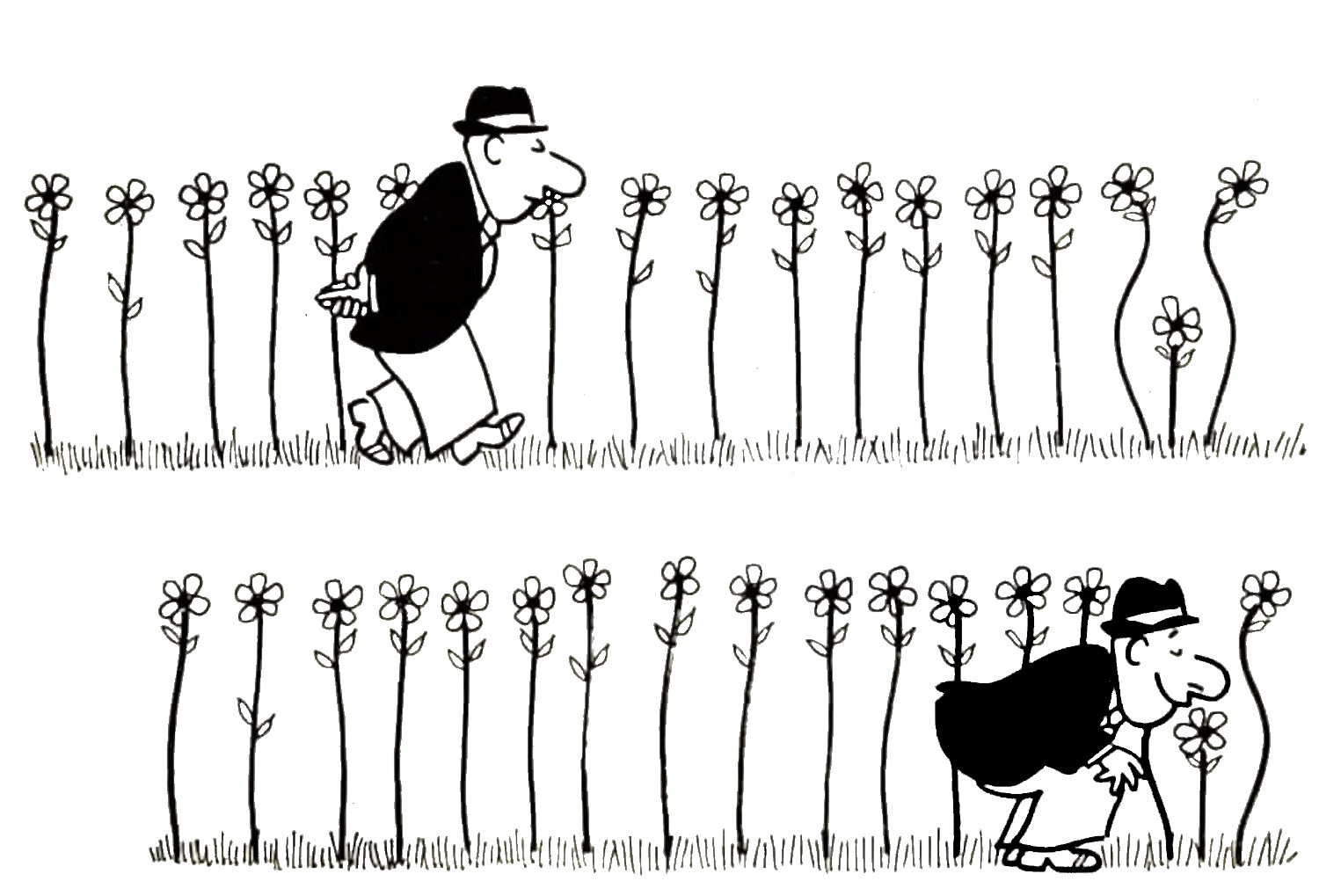 smell flowers