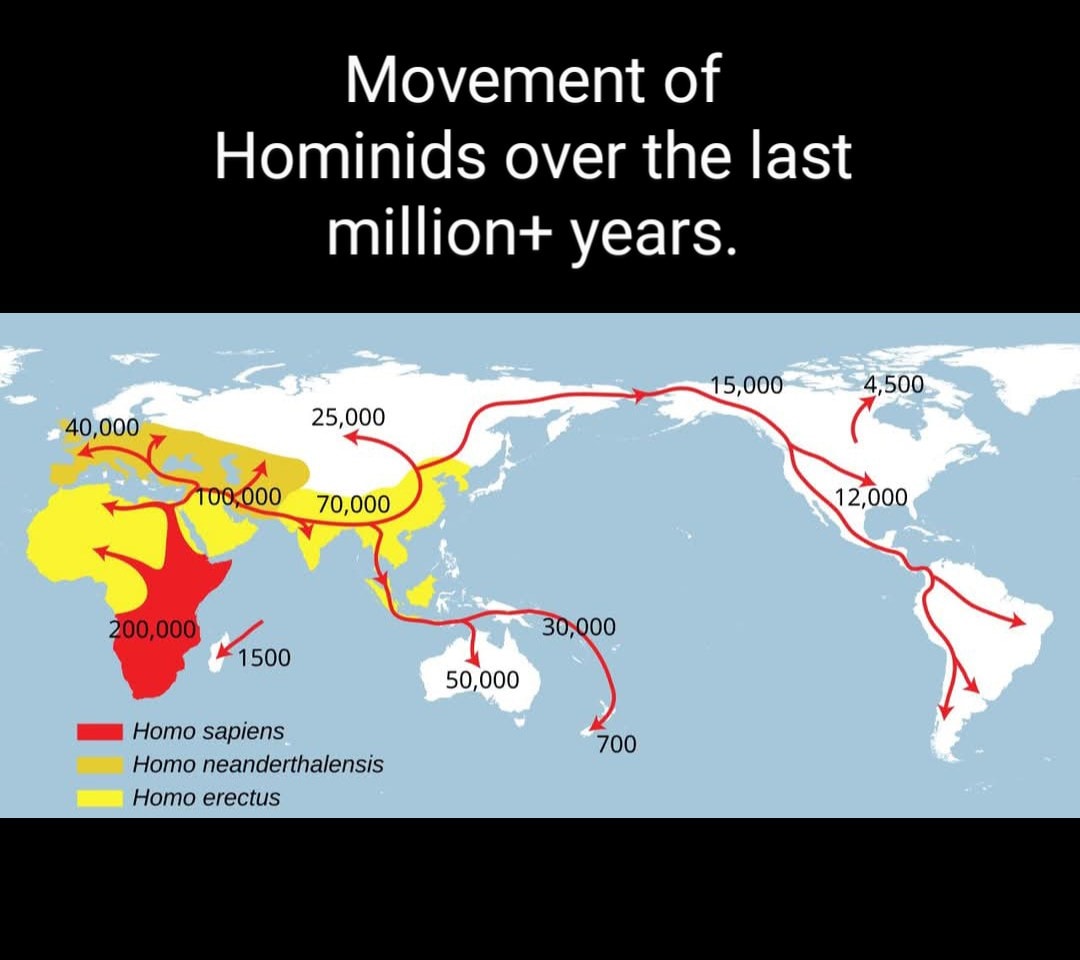 movement Of Hominides